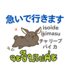 セクシーなウサギ日本語タイ語（個別スタンプ：13）