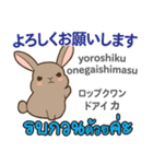 セクシーなウサギ日本語タイ語（個別スタンプ：25）