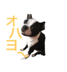 お気楽めるる（個別スタンプ：1）