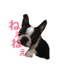 お気楽めるる（個別スタンプ：2）