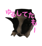 お気楽めるる（個別スタンプ：13）