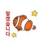 (In Korean) CG Clownfish (1)（個別スタンプ：1）