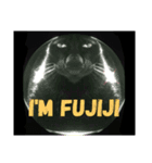 I'M FUJIJI（個別スタンプ：1）