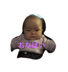 ここたんスタンプ②（個別スタンプ：2）