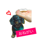 ロンの日常（個別スタンプ：7）