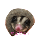 フクモモ さくらちゃん（個別スタンプ：1）