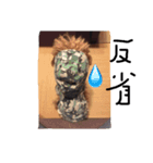 ココアの気持ち（個別スタンプ：6）