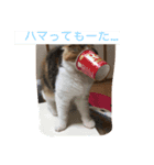 みかんの成長（個別スタンプ：5）