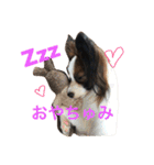 モモとハッピーの日常（個別スタンプ：3）