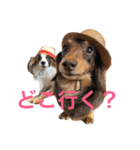 モモとハッピーの日常（個別スタンプ：7）