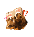 モモとハッピーの日常（個別スタンプ：14）