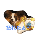 モモとハッピーの日常（個別スタンプ：18）