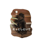 モモとハッピーの日常（個別スタンプ：21）