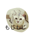 りんちゃんと一緒その2（個別スタンプ：3）