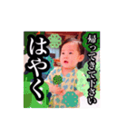 晴翔くんのスタンプ2（個別スタンプ：38）