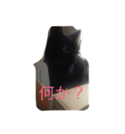 ぐう ハル（個別スタンプ：3）
