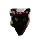 ぐう ハル（個別スタンプ：5）
