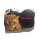 ぐう ハル（個別スタンプ：17）
