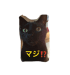 ぐう ハル（個別スタンプ：20）