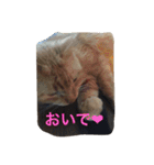 ぐう ハル（個別スタンプ：23）