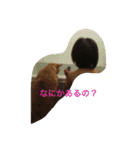 ぐう ハル（個別スタンプ：24）