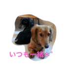 チョコ＊クッキー（個別スタンプ：3）