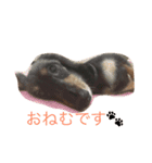 チョコ＊クッキー（個別スタンプ：8）