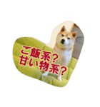 豆柴ビーン家の日常会話♪（個別スタンプ：7）