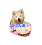 豆柴ビーン家の日常会話♪（個別スタンプ：27）