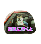 豆柴ビーン家の日常会話♪（個別スタンプ：31）