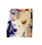 犬猫大好き（個別スタンプ：6）