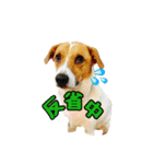 smiling  空 2（個別スタンプ：5）