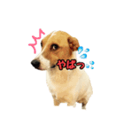 smiling  空 2（個別スタンプ：7）