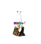 smiling  空 2（個別スタンプ：8）