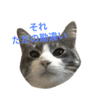 辛辣セリフ猫@（個別スタンプ：9）