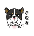Doggy Bug（個別スタンプ：2）