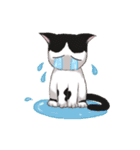 Tuxedo cat v.1（個別スタンプ：10）