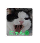今日のエドガーさん☆（個別スタンプ：1）