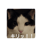 今日のエドガーさん☆（個別スタンプ：3）
