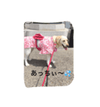 十字架の気分♪（個別スタンプ：3）