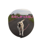 十字架の気分♪（個別スタンプ：4）