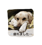 十字架の気分♪（個別スタンプ：5）