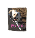 十字架の気分♪（個別スタンプ：6）
