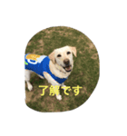 十字架の気分♪（個別スタンプ：7）