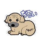 闘病犬まろん（個別スタンプ：3）