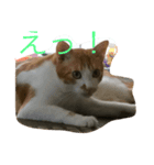 奴らの日常（個別スタンプ：1）
