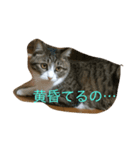 奴らの日常（個別スタンプ：3）