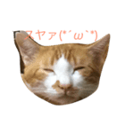 奴らの日常（個別スタンプ：5）