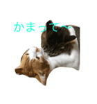 奴らの日常（個別スタンプ：6）