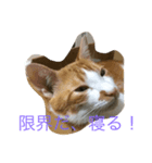 奴らの日常（個別スタンプ：7）